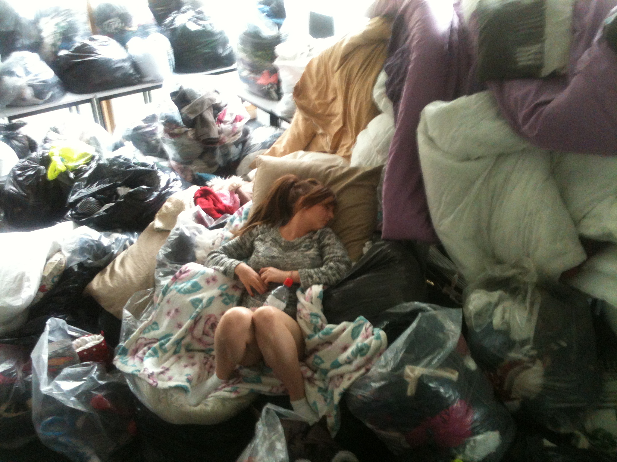 Finding a comfy place to nap after all the hard work of sorting! Project 2013