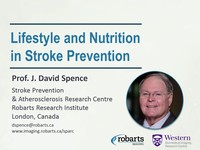 Lifestyle and nutrition in stroke prevention