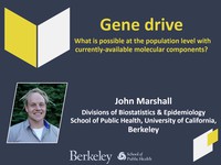 Gene drive: What is possible at the population level with currently-available molecular components?