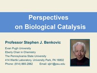 Perspectives on biological catalysis