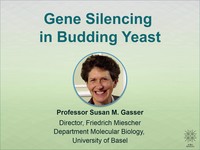 Gene silencing in budding yeast