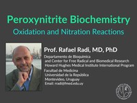 Peroxynitrite biochemistry oxidation and nitration reactions