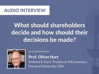 What should shareholders decide and how should their decisions be made?
