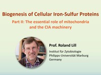 Biogenesis of cellular iron-sulfur proteins: the essential role of mitochondria and the CIA machinery