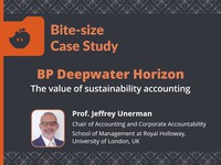 BP Deepwater Horizon: the value of sustainability accounting