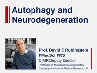 Biomedical & Life Sciences Collection recent videos – Autophagy and neurodegeneration and more