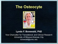 The osteocyte