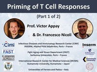 Priming of T cell responses 1
