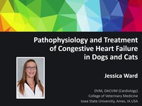 Pathophysiology and treatment of congestive heart failure in dogs and cats