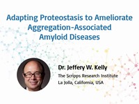 Adapting proteostasis to ameliorate aggregation-associated amyloid diseases