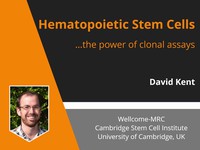 Hematopoietic stem cells...the power of clonal assays