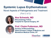 Systemic lupus erythematosus: novel aspects of pathogenesis and treatment 2