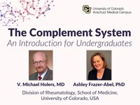 The complement system - an introduction for undergraduates