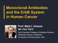 Monoclonal antibodies and the ErbB system in human cancer