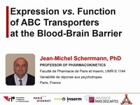 Expression vs. function of ABC transporters at the blood-brain barrier